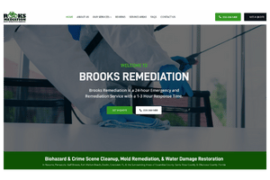 mitigation company website design